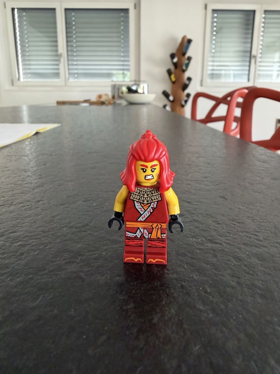 Lego Statuette: Wyldfyre Dark Red Tunic – Usato da Heimberg venduto da Skicross86
