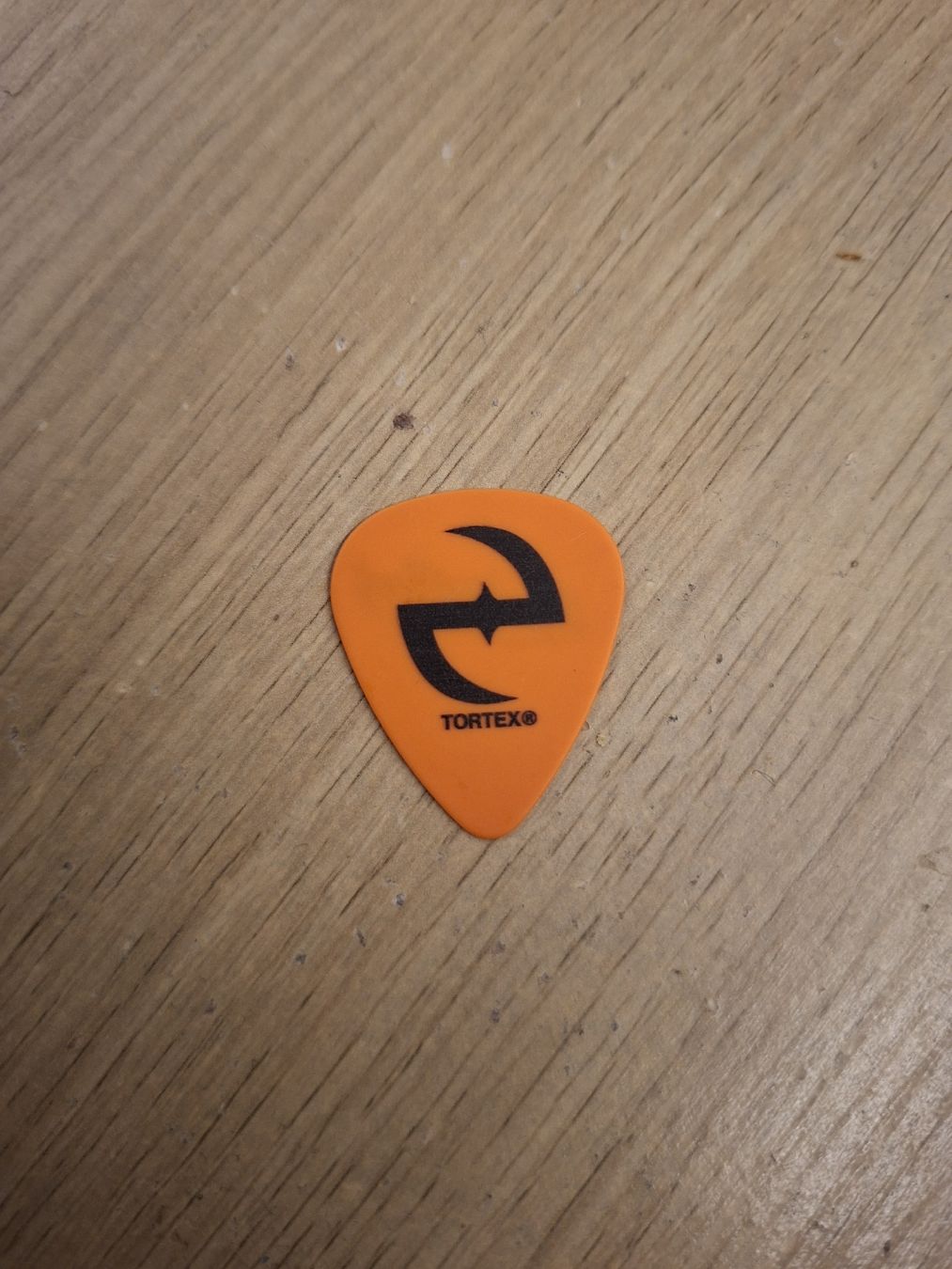 Autogramme: Evanescence guitar pick  – Neu (gemäss Beschreibung) aus Sierre von ronhextall