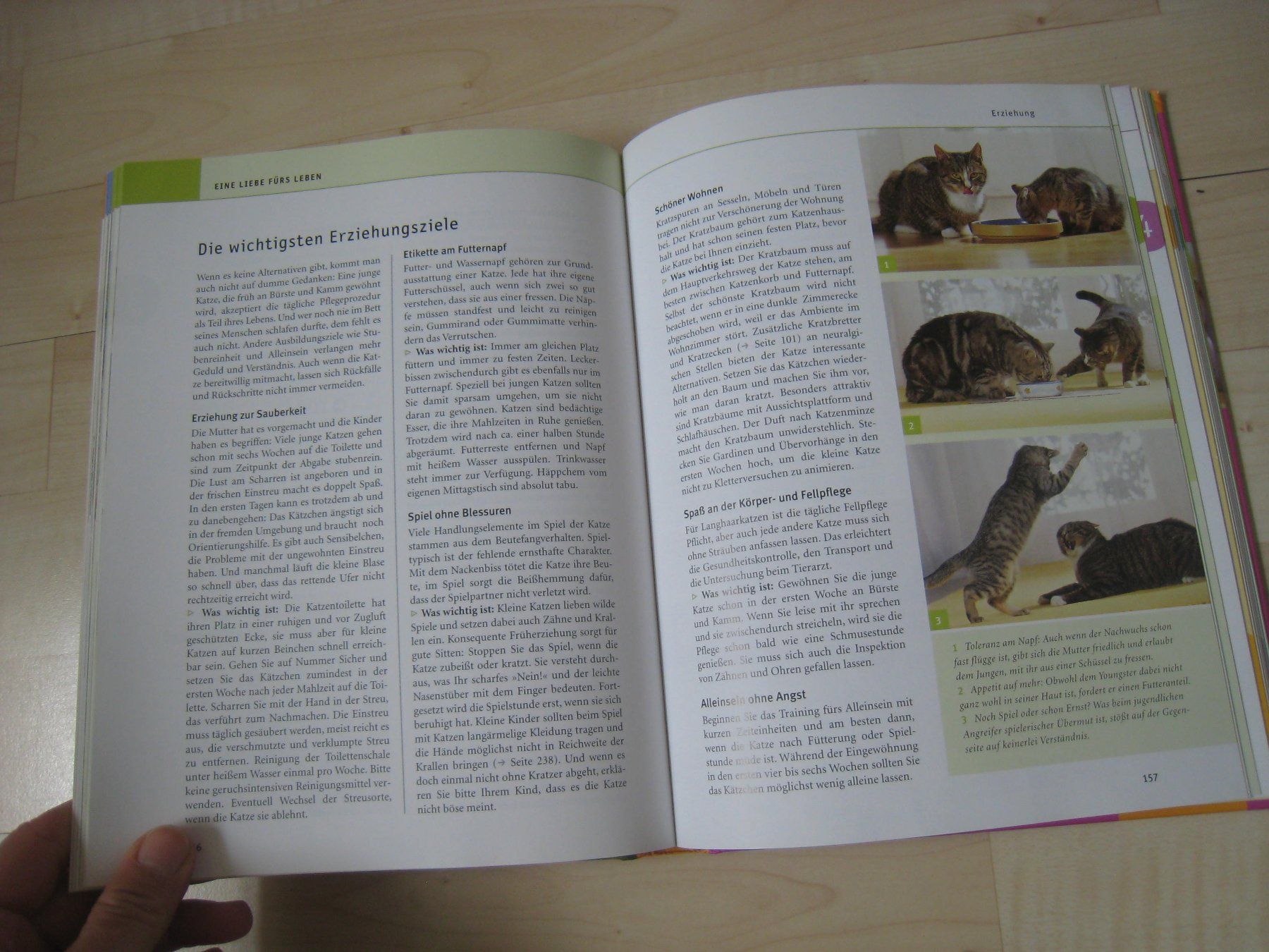 das grosse GU Praxishandbuch Katzen BUCH GU Gerd Ludwig | Kaufen auf ...