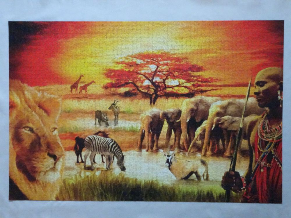 Ravensburger Puzzle 3000 Teile | Kaufen auf Ricardo