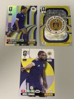 Panini WM 26 - 130/131/134