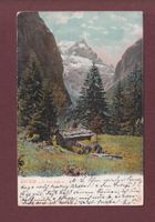 UELIALP - Tödi - 1903