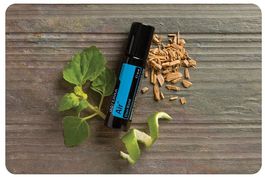 doTERRA Air Touch – 10 ml Atemwegs-Roll-On - Neu!!!