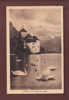 Château de CHILLON - Cygnes - 1909