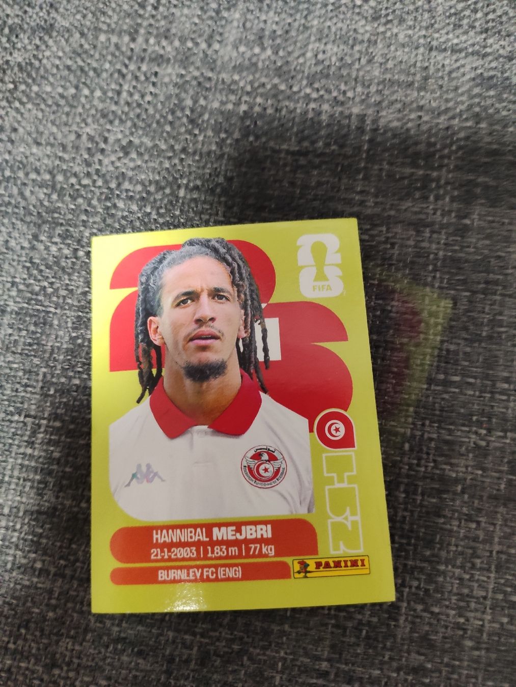 Panini Sammelbilder & Trading cards: panini TUN 14 – Gebraucht aus Ettenhausen TG von danielhoop