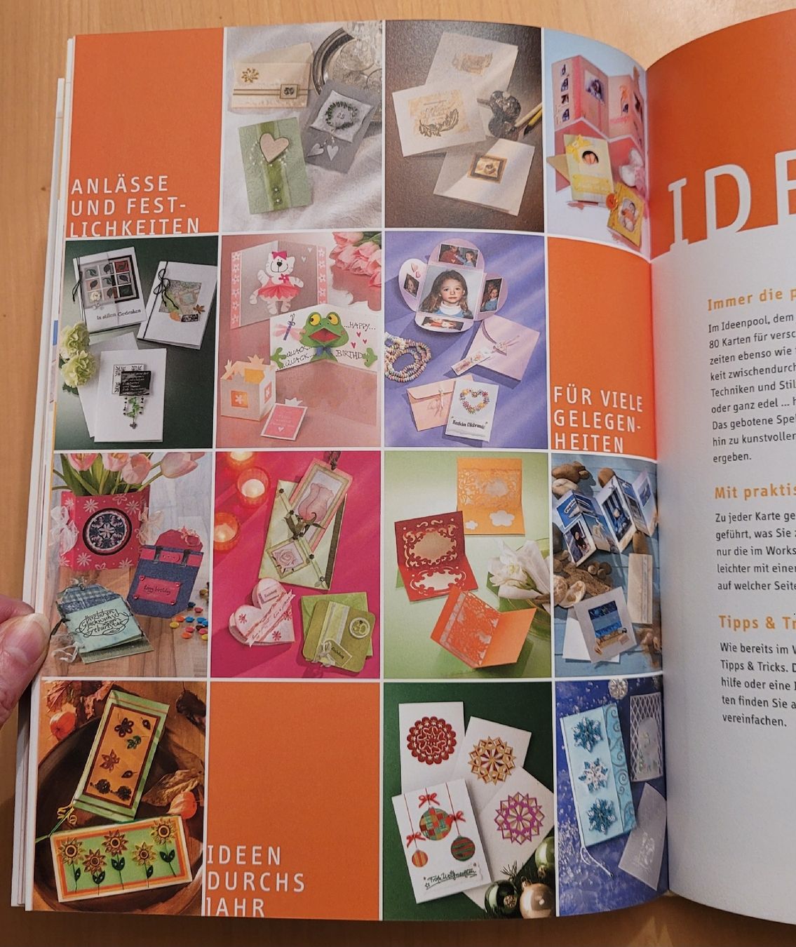 Livres: 1x1 kreativ Karten gestalten - TOPP Verlag – Neuf (Voir description) à Madiswil par Laubfleck 5