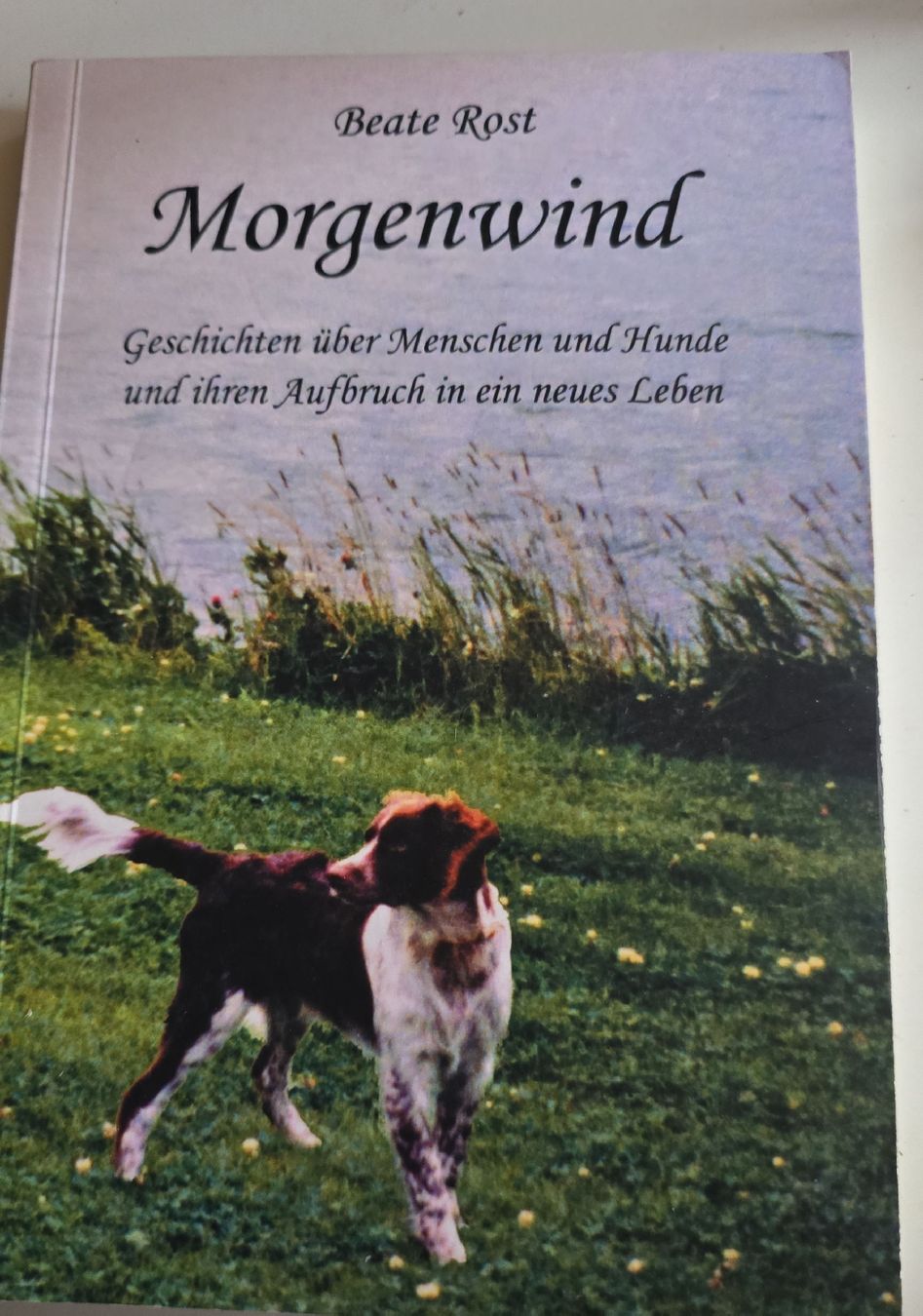 Libri: Morgenwind - Geschichten über Mensch & Hund – Usato da Oberbüren venduto da Elk2025