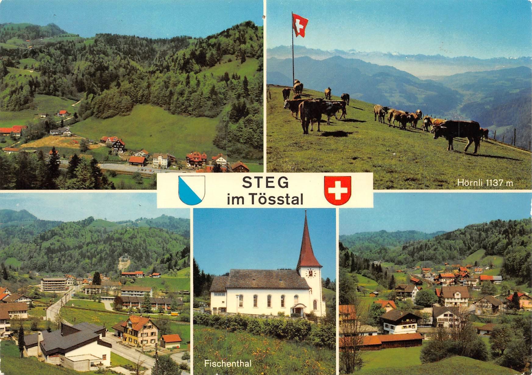 Cartoline postali: Steg im Tösstal – Usato da Ottikon b.Kemptth. venduto da Neptun1974