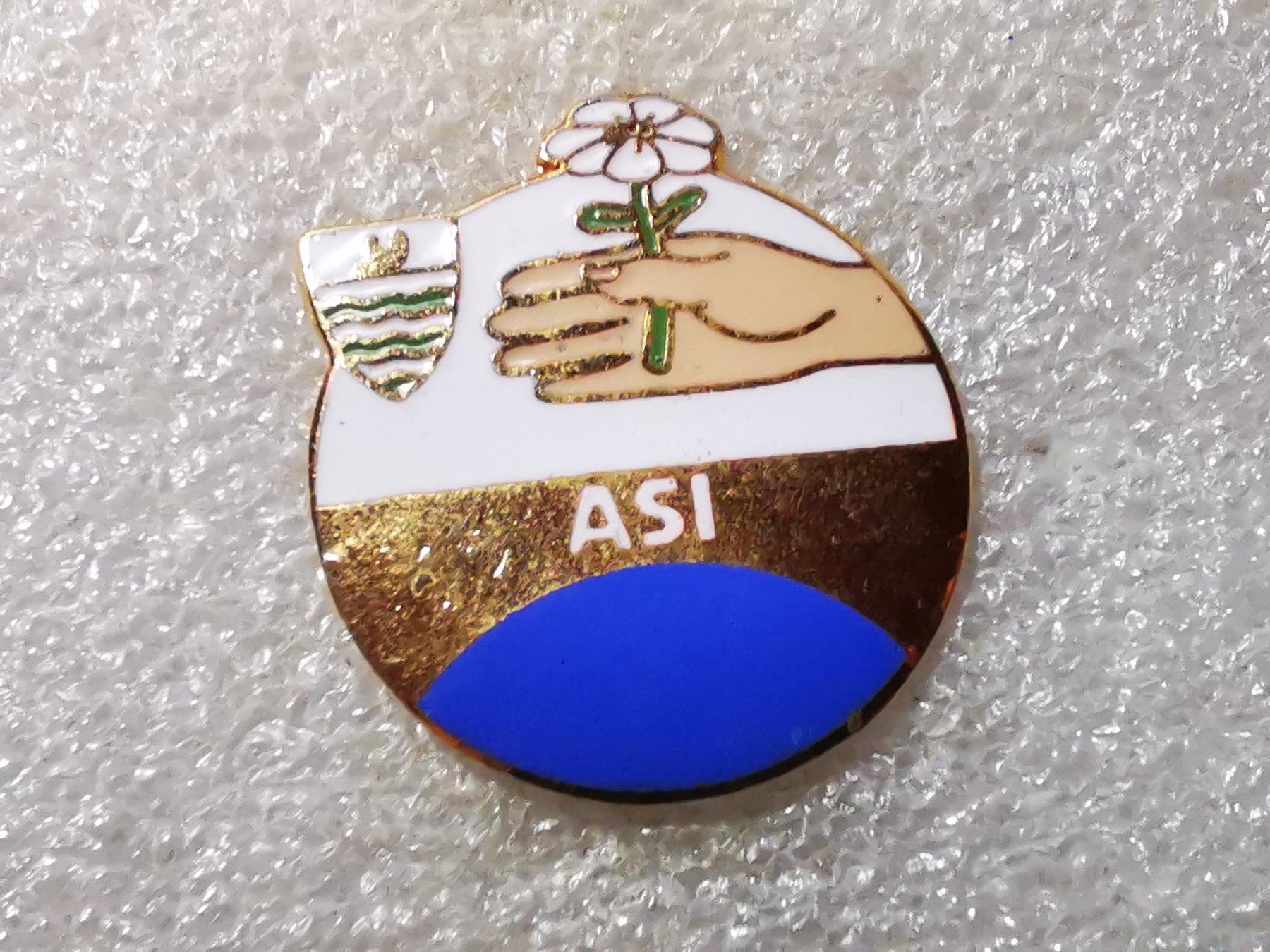 Placchette & Badge: Ansteckpin 54: ASI – Usato da Oppligen venduto da Pin-Fall-Shop
