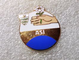 Ansteckpin 54: ASI