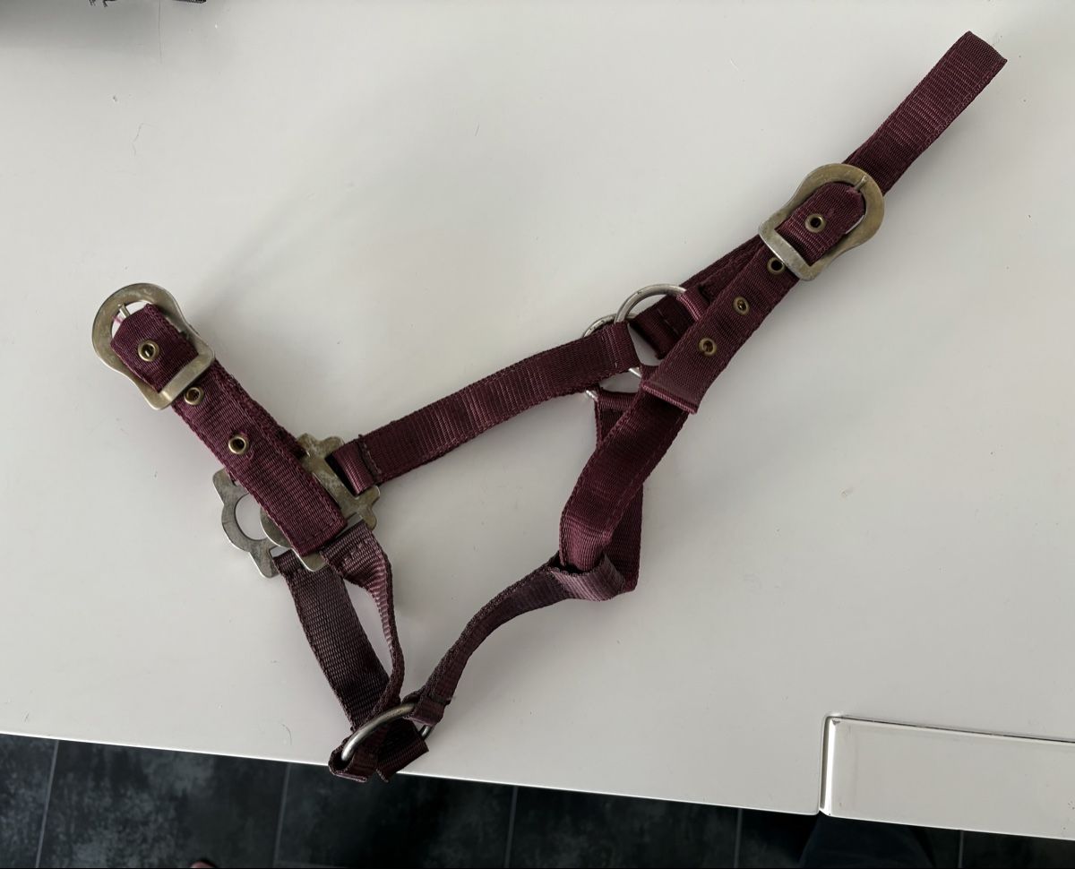 Briglie & Cavezze: Ponyhalfter – Usato da Emmenbrücke venduto da mar_8x9w 3