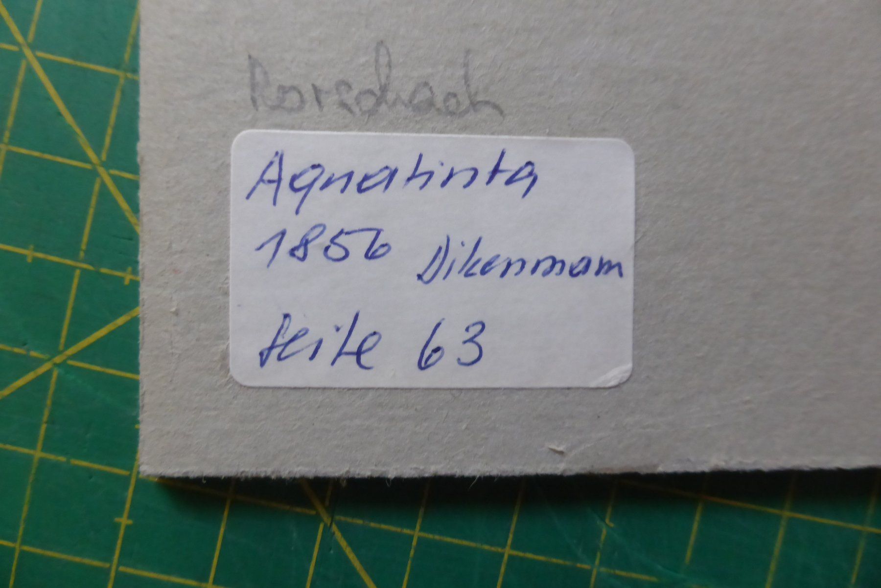 Incisioni: Aquatinta Dickenmann - Rorschach 1856 im PP – Usato da Brunnadern venduto da vapiano 2