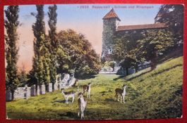 Rapperswil Schloss und Hirschpark 1912