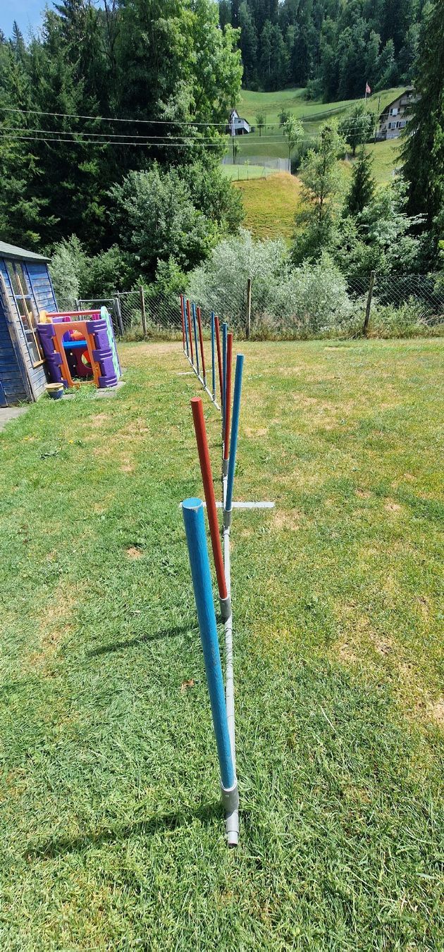 Giocattoli: hundeslalon – Usato da Fontannen venduto da est_2999 1
