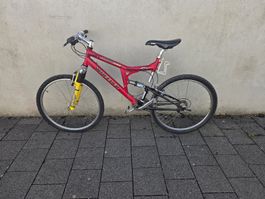 mountainbike wheeler 