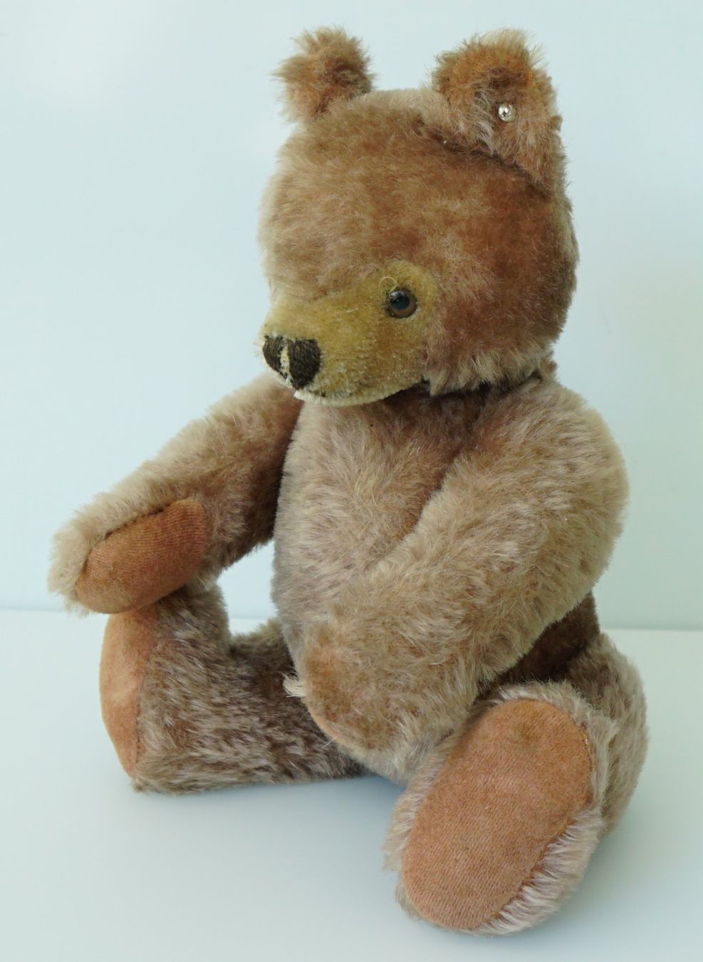 Steiff Giocattoli: Vintage Steiff Teddy, 32cm – Usato da Sissach venduto da glrpmpfk 2