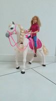Barbie DreamHorse
