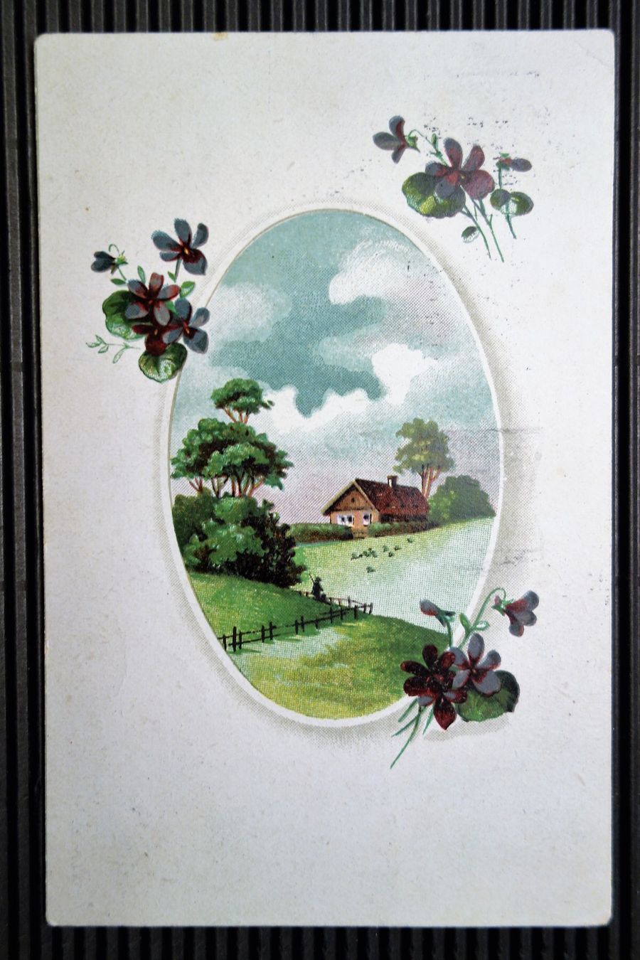 Cartoline postali: 1921 Postkarte – Usato da Mettmenstetten venduto da Sutasso