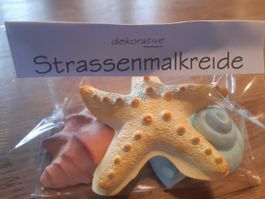 dekorative Kreide 5 Stück Seestern, Schneckenhaus, Muschel