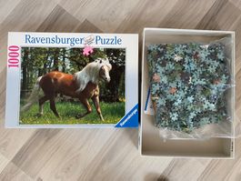 Pferde-Puzzle 1000 Teile