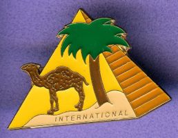 CAMEL   INTERNATIONAL
