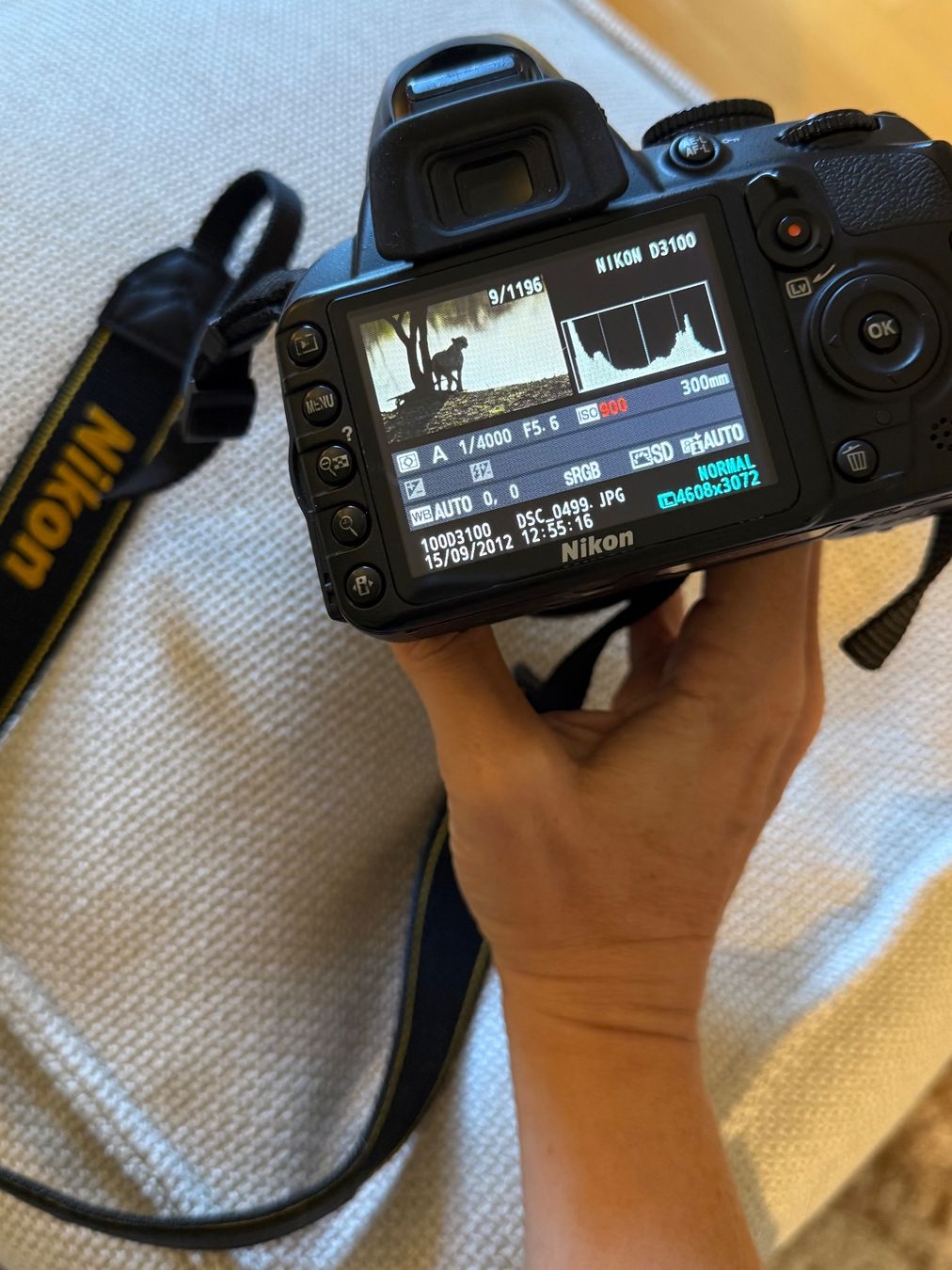 Nikon Fotocamera: Nikon D3100 Digitalkam. mit Kamerarucksack&Objektiv – Usato da Zürich venduto da crosstrainer02 2