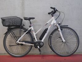 E- Bike Pegasus ( Nr. 118)