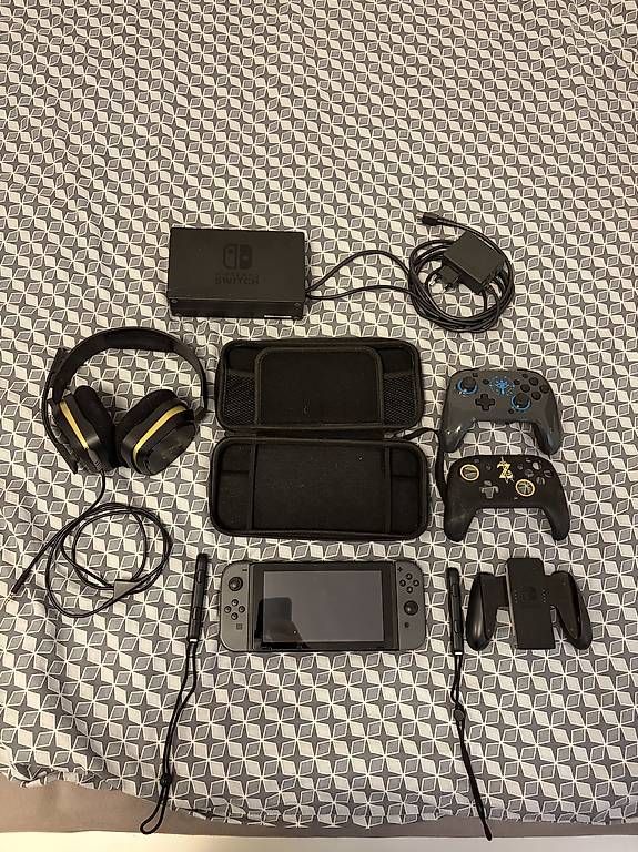 Nintendo Console: Nintendo Switch – Usato da Locarno venduto da pet_wzt8