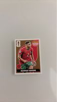 Panini Extra Sticker Achraf Hakimi gebrauchter Zustand