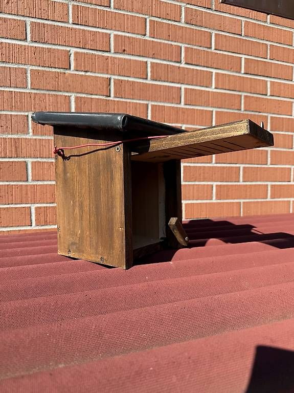 Casette per uccelli: Höhlenbrüternistkasten – Nuovo e nell'imballaggio originale da Ebikon venduto da cla_bh2n 1