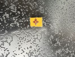 PIN New Mexico
