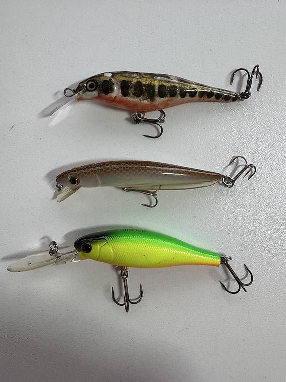 Esche: TwinLures / Wobbler – Usato da Dübendorf venduto da R007 1