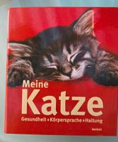 Katzen Ratgeber: Gesundheit, Haltung & Ernährung, Weltbild