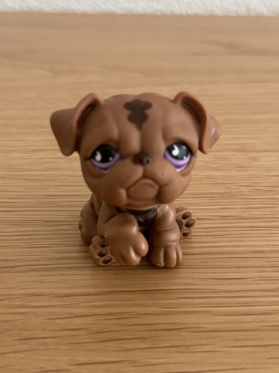 Littlest Pet Shop Giocattoli: Littlest Pet Shop Figur 881 – Usato da Sursee venduto da giu_205