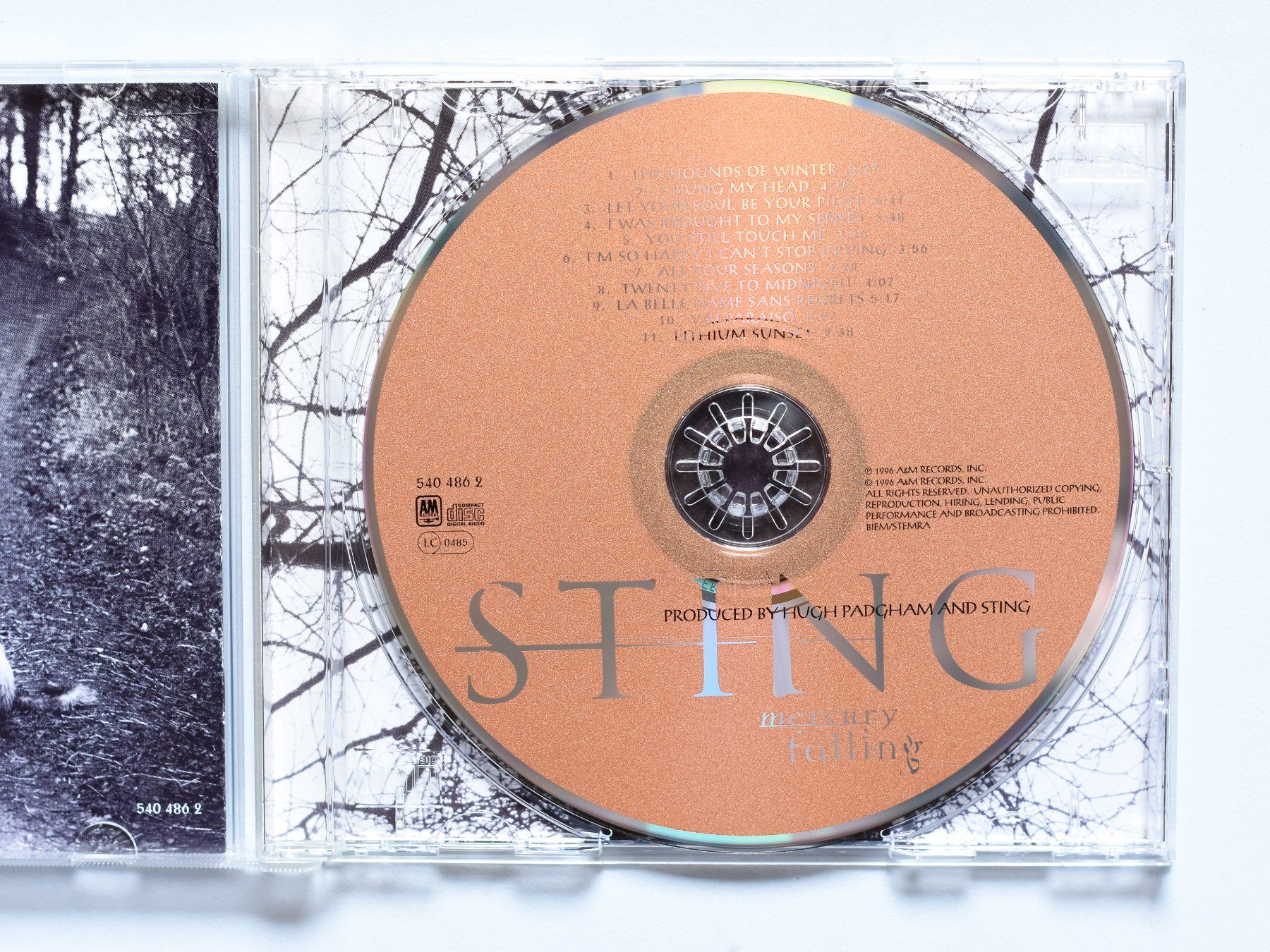 CDs: Sting - Mercury Falling – D'occasion à Belmont-sur-Yverdon par ag97 1