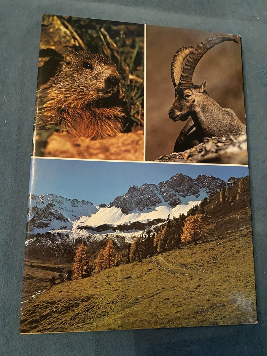 Libri: Der schweizerische nationalpark – Nuovo (secondo la descrizione) da Gretzenbach venduto da Cantate 1