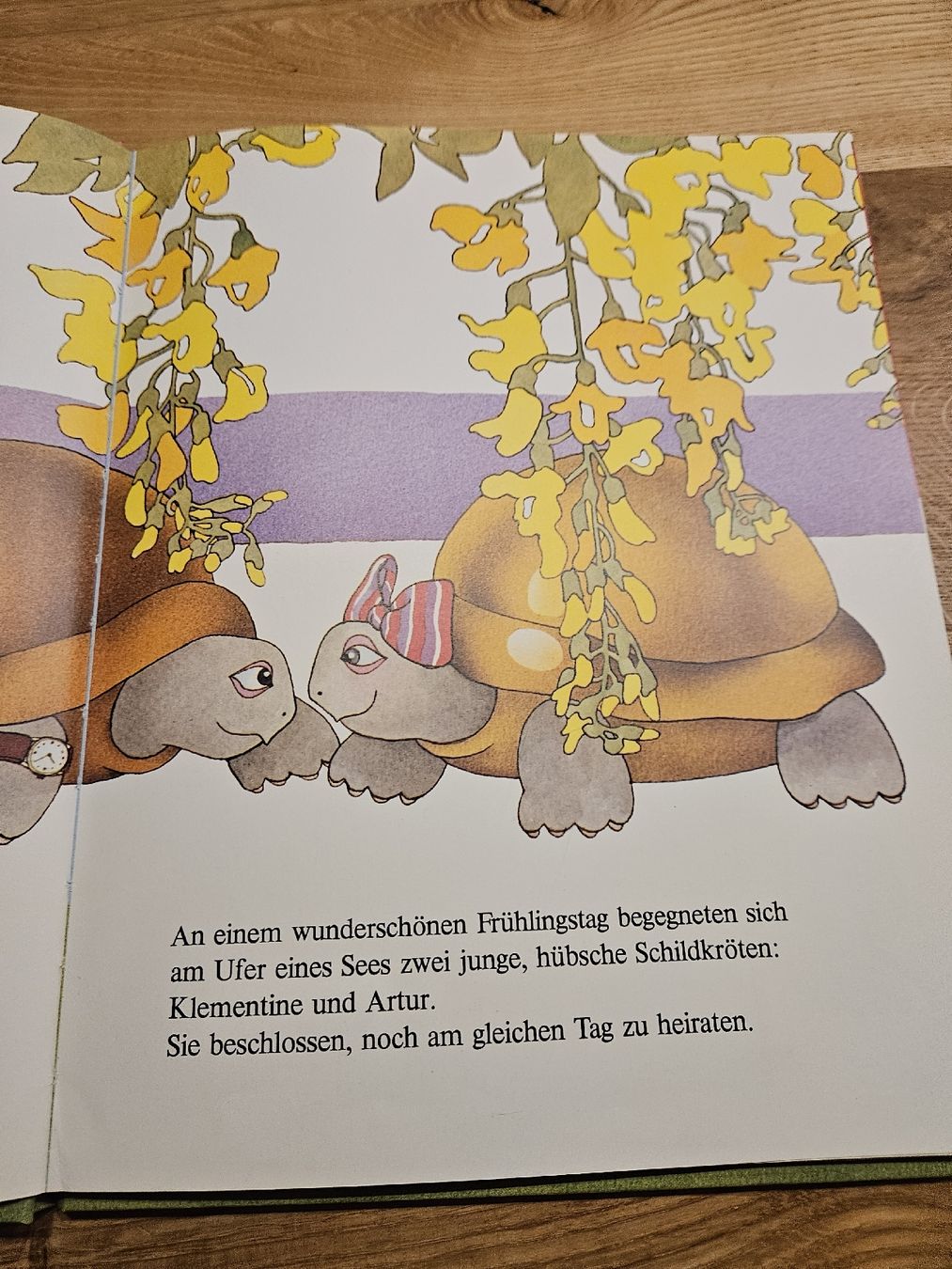 Libri: Artur und Klementine Ehe mit Grammophon – Usato da Mühlethal venduto da marga_10 2