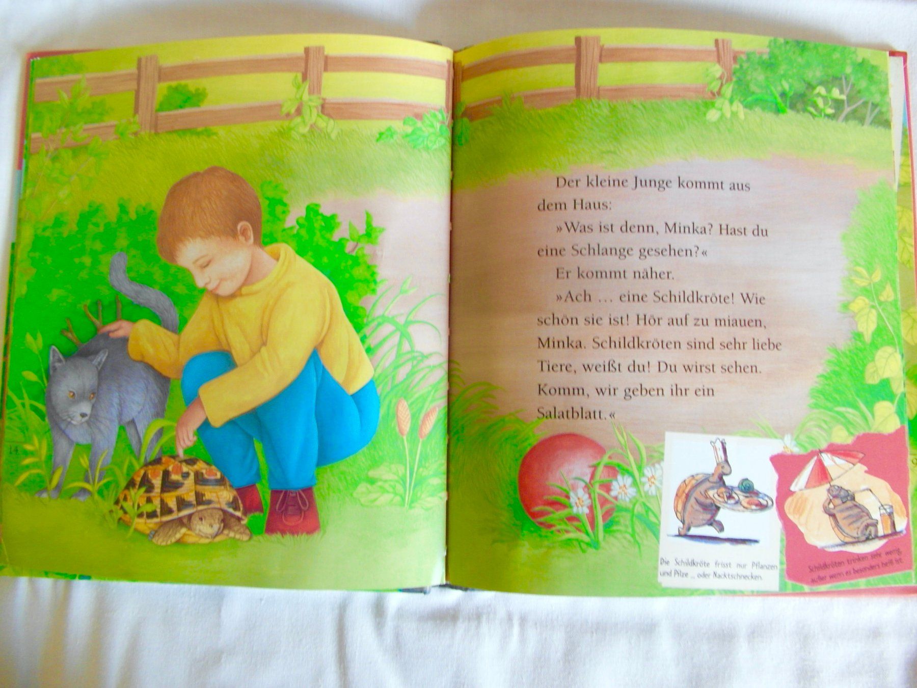 Libri: Kinderbuch: Die Schildkröte - 2002 – Usato da Schönenbuch venduto da Imagine6 1