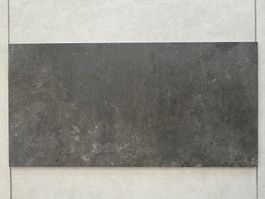Restposten Feinsteinzeug PL CODEC ANTRA 30x60cm*Aktion Lager