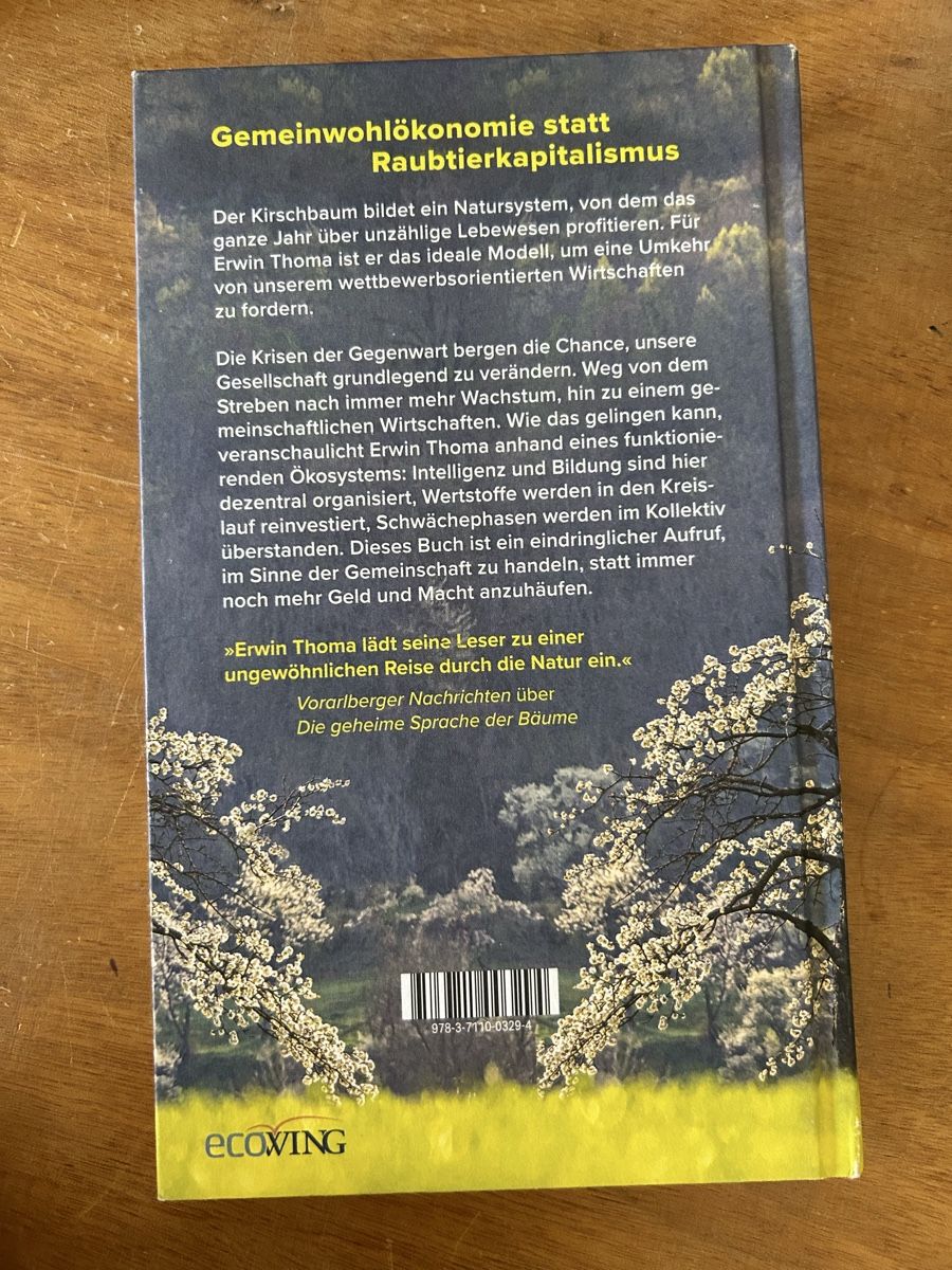 Libri: Erwin Thoma: Der Weg des Kirschbaums – Usato da Zürich venduto da WWehrle 1