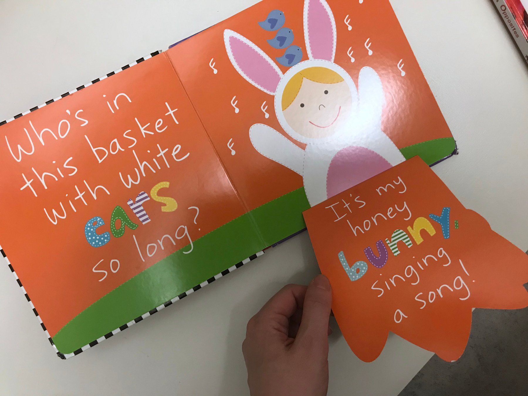 Libri: KinderBuch Halloween – Usato da Carouge GE venduto da Ikle00 1