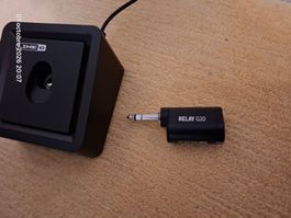 Line6 Relay G10