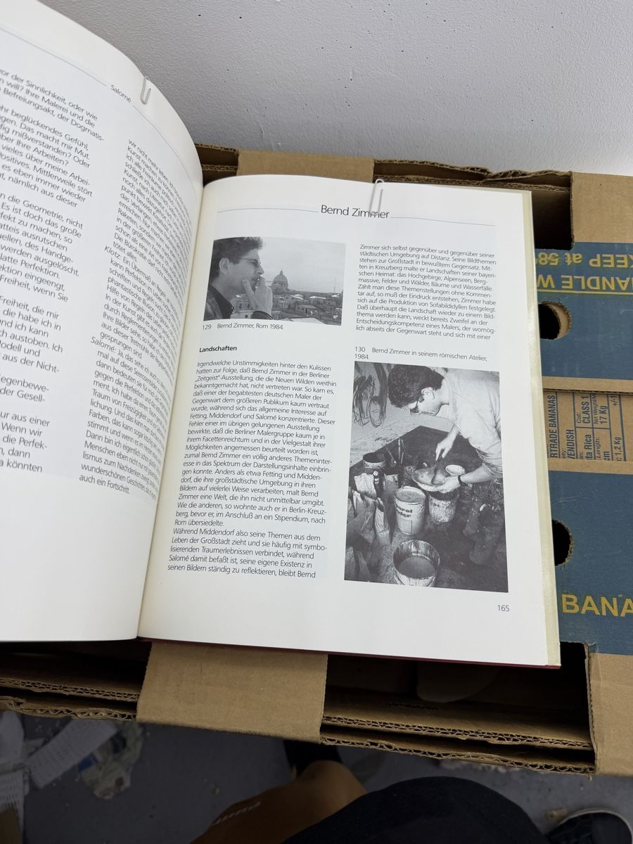 Libri: Die neuen wilden in Berlin – Usato da Wettingen venduto da NickInc 3