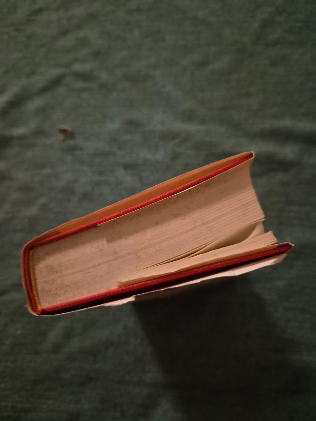 Libri: Buch, Wildes Blut – Usato da Regensdorf venduto da Mischa88 5