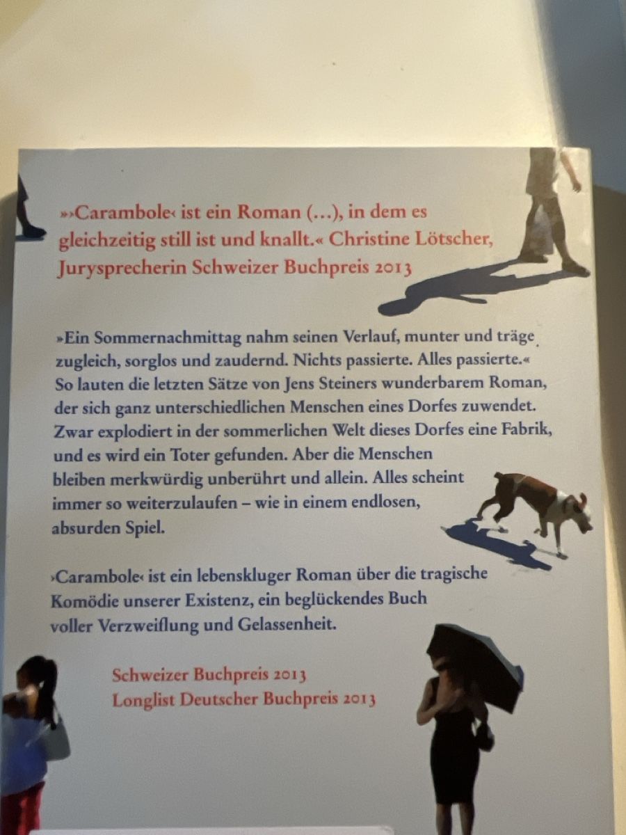 Libri: Buch "Carambole" - Jens Steiner – Nuovo (secondo la descrizione) da Winterthur venduto da Alex31_ 1