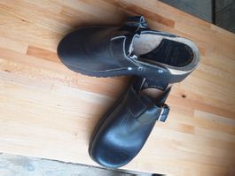 Zoggeli Holz Anatomic