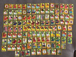 Panini WM 2026 Sticker 125 Stück, keine Doppelte