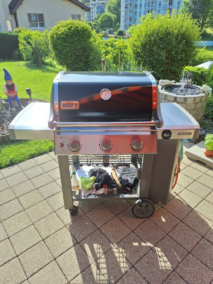 Griglie: Weber Gasgrill Genesis 2 – Usato da Luzern venduto da Chroegu1