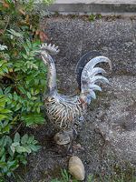 Coq en métal de décoration extérieure ou intérieur 