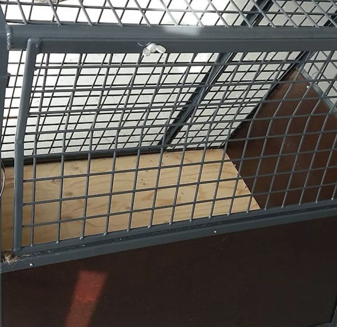 Gabbie, trasporto & Sicurezza: Hundebox – Usato da Bülach venduto da JAYA379 2
